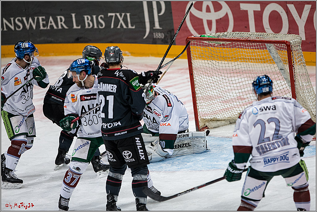 DEL, Koelner Haie - Augsburger Panther, 13.01.2017